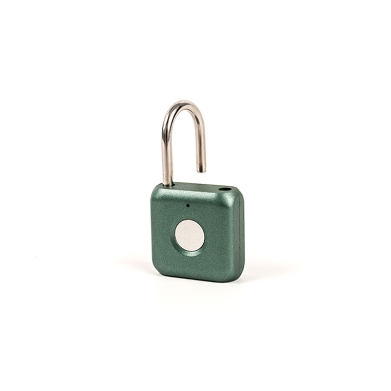0.1kg carburized ferro materia fingerprint padlock