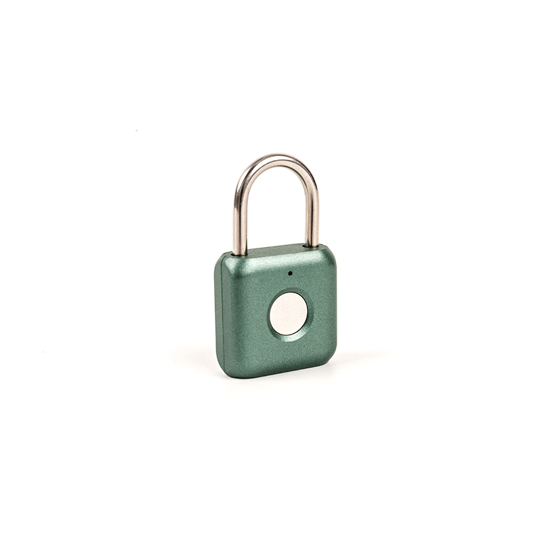 0.1kg carburized ferro materia fingerprint padlock