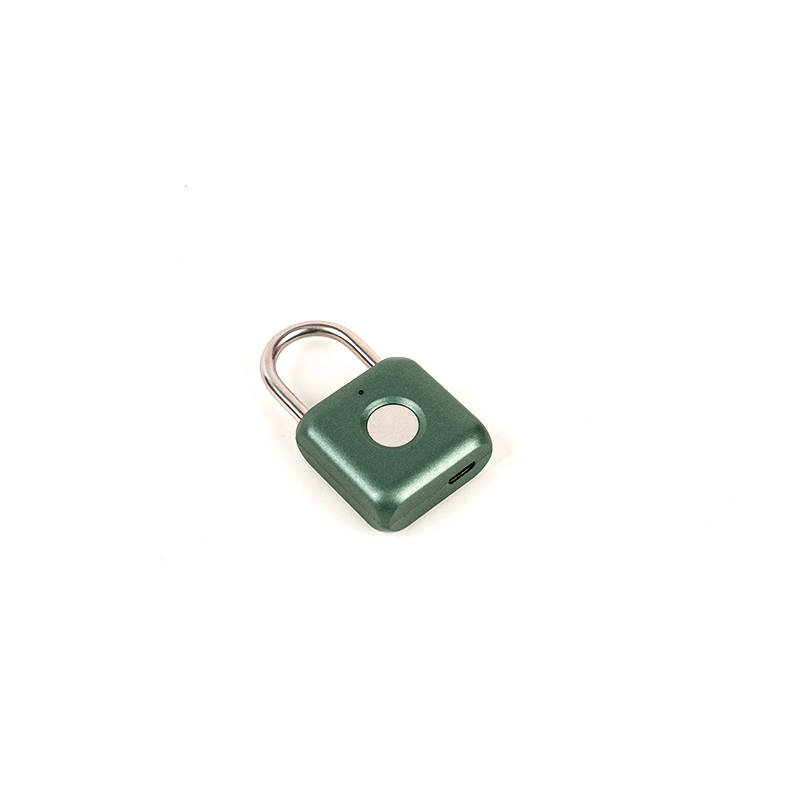 0.1kg carburized ferro materia fingerprint padlock